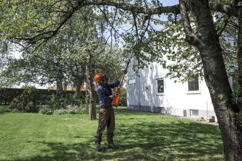 HUSQVARNA POTATORE AD ASTA TELESCOPICA GARANZIA ITALIANA